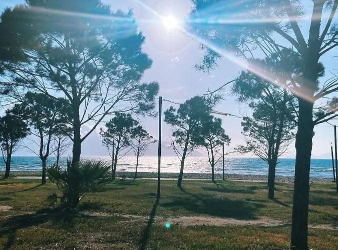 Daire Sina's Panorama *