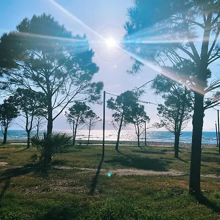 아파트 Sina's Panorama *
